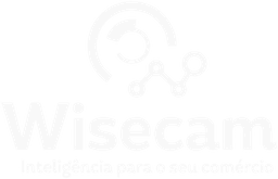 Logo Wisecam